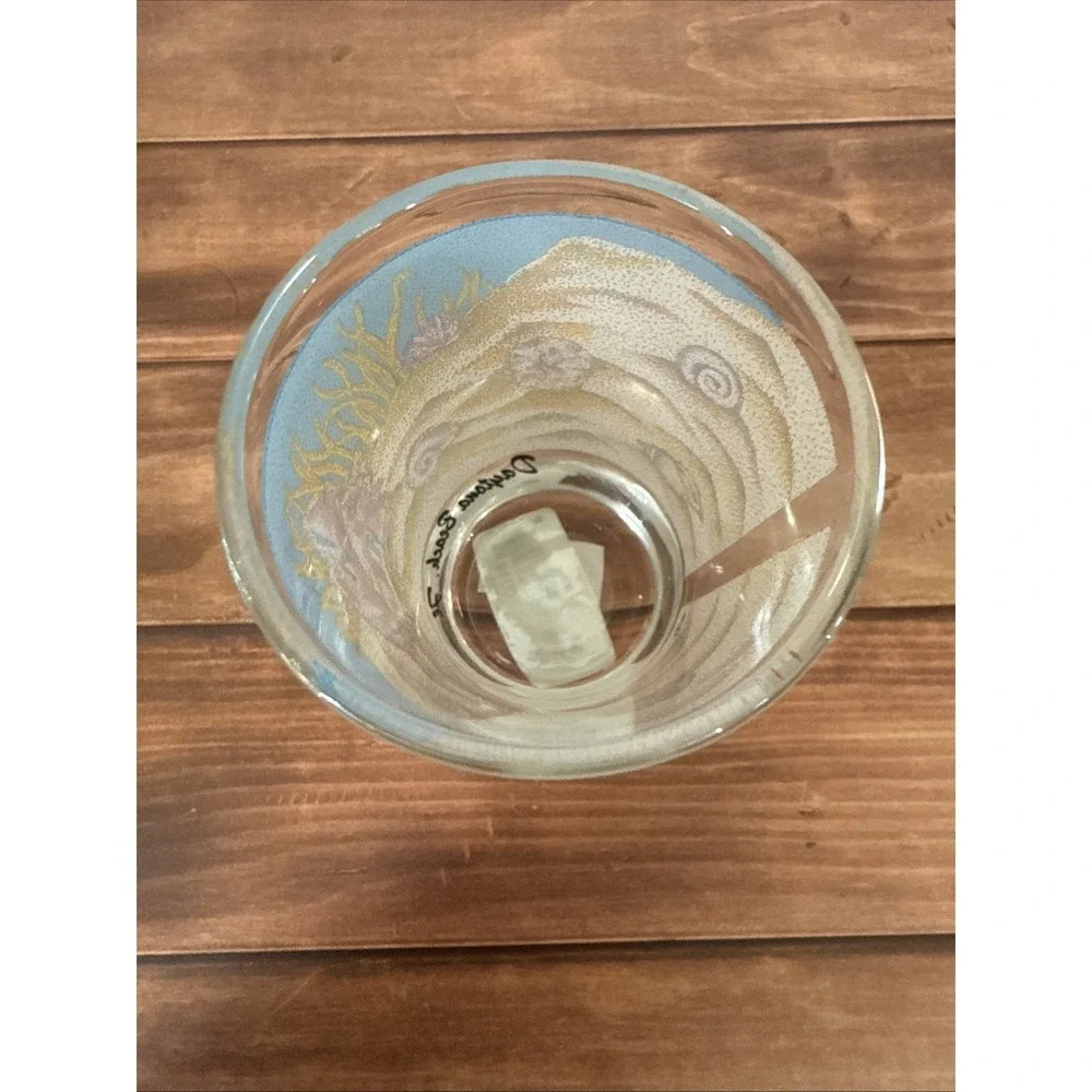 Daytona Beach Florida Shot Glass With Starfish Sea Shells And Snails On A‎ Beach